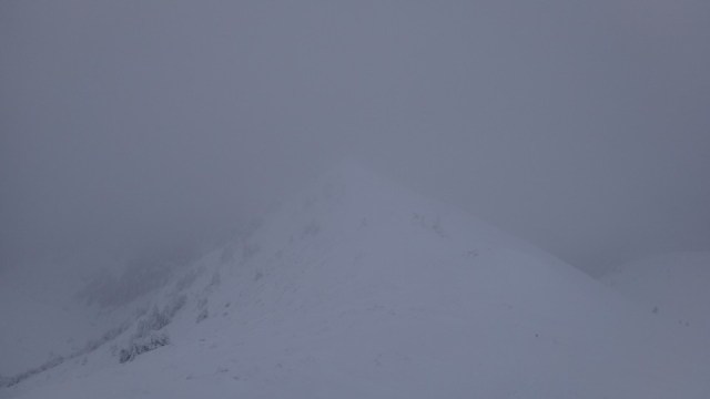 Cr Zaganu_Gropsoarele_09012016_blog_065