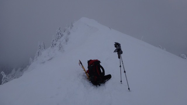 Cr Zaganu_Gropsoarele_09012016_blog_066