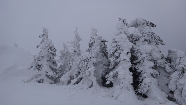 Cr Zaganu_Gropsoarele_09012016_blog_068