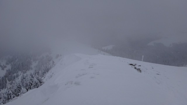 Cr Zaganu_Gropsoarele_09012016_blog_071