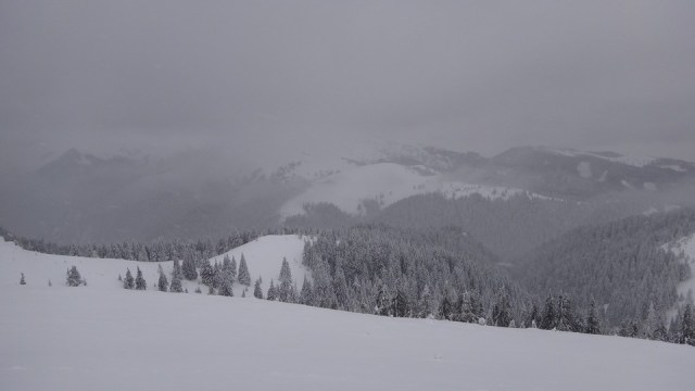 Cr Zaganu_Gropsoarele_09012016_blog_074