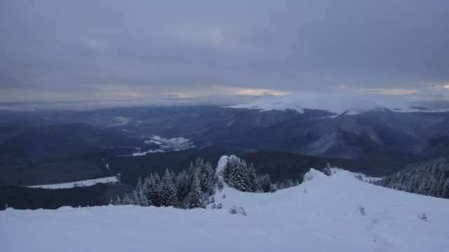 Cr Zaganu_Gropsoarele_09012016_blog_088