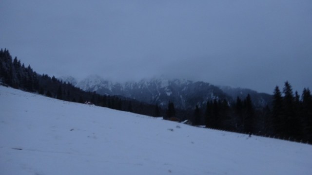 Cr Zaganu_Gropsoarele_09012016_blog_100