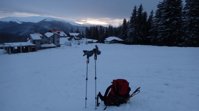 Cr Zaganu_Gropsoarele_09012016_blog_101