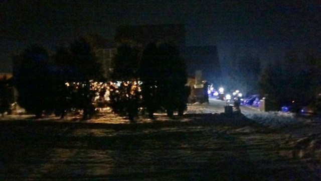 Cr Zaganu_Gropsoarele_09012016_blog_104