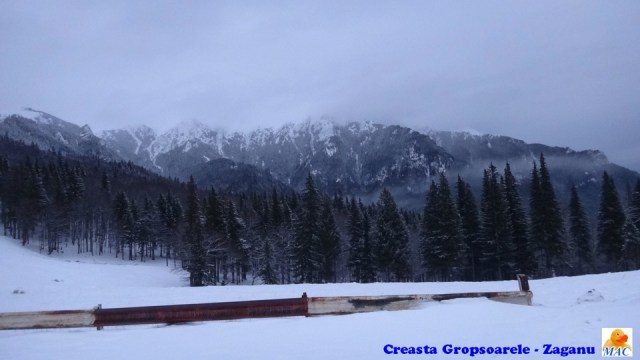 Cr Zaganu_Gropsoarele_09012016_blog_105
